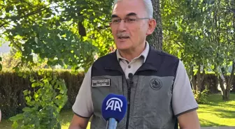 İhmal ve dikkatsizlikle çıkan orman yangınlarına karşı farkındalık bilinci önemli