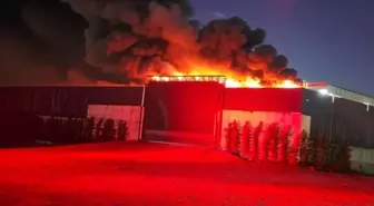 İnegöl'deki Geri Dönüşüm Tesisinde Yangın