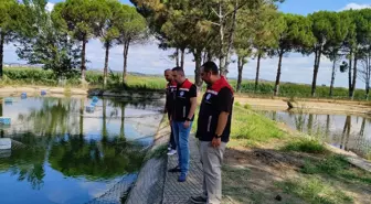 Edirne'de Su Ürünleri Kontrolleri Yapıldı