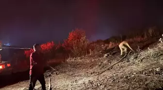 Eğirdir'deki Orman Yangını Söndürüldü