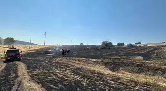 Isparta'da Ekin Tarlasında Yangın: 500 Metrekare Alan Zarar Gördü