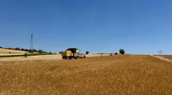 Isparta'da Hububat Hasadı Başladı