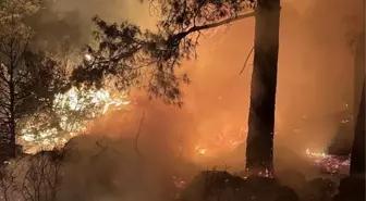 Isparta'da Orman Yangını Kontrol Altına Alındı