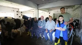 İstanbul'dan Köye Dönüş: Dalkıran Ailesi Hayvancılıkla Yeni Bir Hayat Kurdu