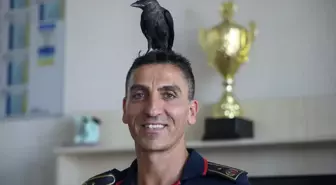 İtfaiye erleri tarafından kurtarılan 'Zeytin' isimli karga istasyonun maskotu oldu