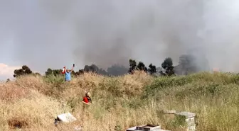 İzmir Balçova'da Ağaçlık Alanda Yangın Çıktı