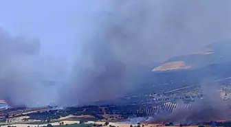 İzmir'in Kınık İlçesinde Orman Yangınına Müdahale Başlatıldı