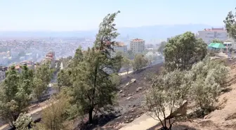 İzmir'de Otluk Alanlarda Yangın Kontrol Altına Alındı