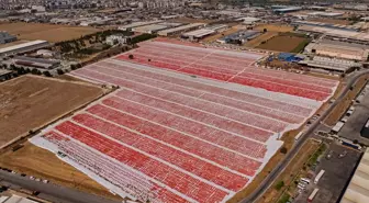 Torbalı'da Kuru Domates Üretim Sezonu Başladı