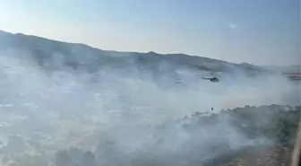 Dikili'de Yangın Çıktı, Müdahale Devam Ediyor