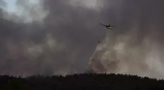 Urla'da Orman Yangınına Müdahale Devam Ediyor