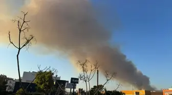 İzmir Buca'da Minibüste Çıkan Yangın Ormanlık Alana Sıçradı