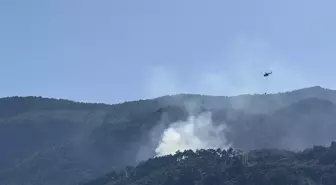 İzmir'deki Bahçe Evinde Yangın: Havan ve Karadan Müdahale ile Söndürüldü
