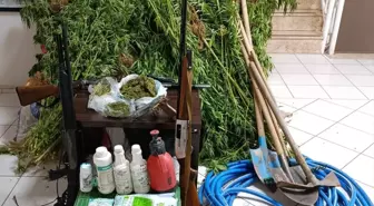 Menderes'te Hint Keneviri Operasyonu: Şüpheli Gözaltına Alındı