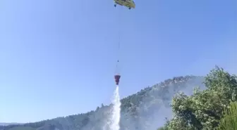 İzmir Ödemiş'te Otluk Alanda Yangın Çıktı