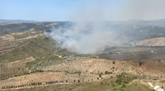 İzmir Seferihisar'da Otluk Alan Yangınına Hava ve Kara Müdahalesi