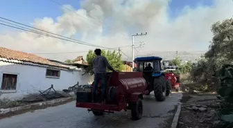 Tire'de Otluk Alanda Yangın Çıktı