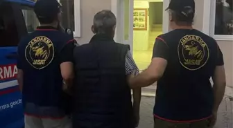 İzmir'de Sahipsiz Hayvanların Zehirlenmesi: 1 Gözaltı