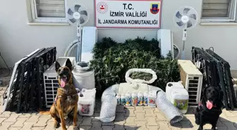 İzmir'de Uyuşturucu Operasyonu: 1 Gözaltı