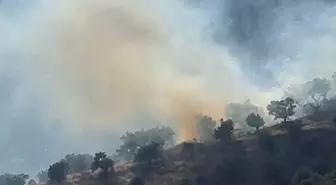 İzmir'in Bayındır İlçesinde Zeytinlikte Yangın Kontrol Altına Alındı