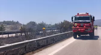 Urla'da Zeytinlik Alanda Yangın Kontrol Altına Alındı