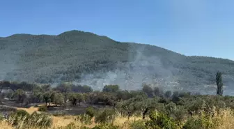 İzmir Kemalpaşa'da Zirai Yangın Kontrol Altına Alındı