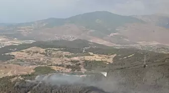 İzmir Aliağa'da Orman Yangınına Müdahele Başladı