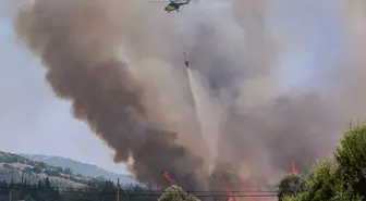 İzmir Bornova'da Orman Yangınına Havadan ve Karadan Müdahele