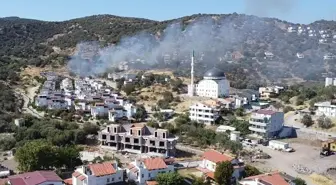Dikili'de Makilik Yangınına Ekipler Müdahale Ediyor