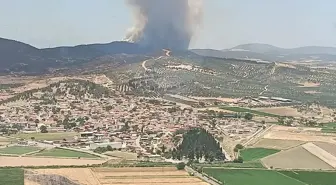 Foça'da Orman Yangınına Hava ve Kara Müdahalesi