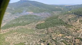 İzmir'in Torbalı İlçesinde Orman Yangını Kontrol Altına Alınmaya Çalışılıyor