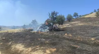 İzmir'de Orman Yangını Kontrol Altına Alındı