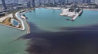 İzmir Körfezi'nde Yeniden Balık Ölümleri ve Kötü Koku Sorunu