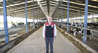 Ödemiş'teki Yangın Sonrası Hayvan Tahliyesi ve Bakımı Devam Ediyor