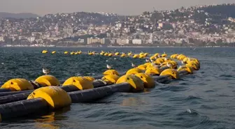 İzmit Körfezi'nde Oksijen Seviyesi Yüzde 40 Arttı, Deniz Canlıları Yararıyla Büyüyor