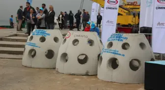 İzmit Körfezi'nde 6 Bin Balık ve 100 Yapay Resif Denize Bırakıldı