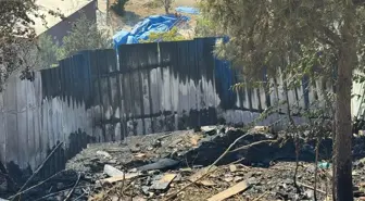 İstanbul Kağıthane'de Ağaçlık Alanda Yangın
