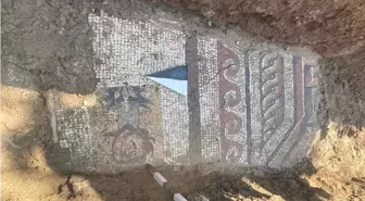 Kahramanmaraş'ta Mozaik Alanı Koruma Altına Alındı