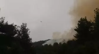 Kahramanmaraş'ta Orman Yangınına Müdahale Devam Ediyor