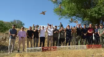 Kahramanmaraş'ta 200 Keklik Doğaya Salındı