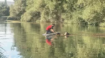 Ceyhan Nehri'nde Dengeyi Kaybederek Boğulan Genç Hayatını Kaybetti