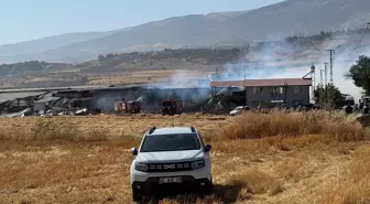 Kahramanmaraş'ta Yangın: 1 Yaralı, 1000 Dönüm Alan Zarar Gördü