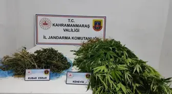 Kahramanmaraş'ta Jandarma Operasyonu: 14 Şüpheli Tutuklandı