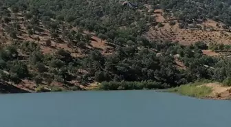 Kahramanmaraş'ta Orman Yangınına Müdahale Devam Ediyor
