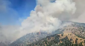 Kahramanmaraş'ta Orman Yangınına Hızla Müdahale Ediliyor
