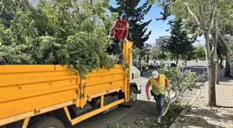 Kahramanmaraş'ta Şiddetli Fırtına Hayatı Olumsuz Etkiledi