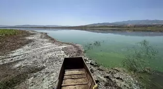 Kahramanmaraş'ta Sır Barajı'nda Balık Ölümleri Araştırılıyor