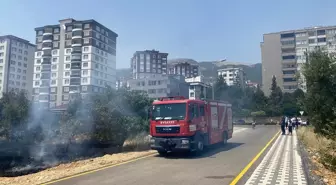 Kahramanmaraş'ta Zeytin Bahçesinde Yangın