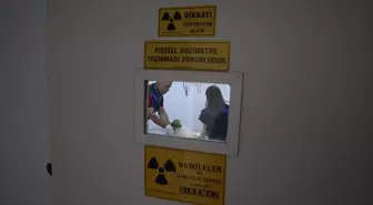 Kahramanmaraş'taki Bakımevinde 2.329 Sokak Hayvanı Tedavi Edildi