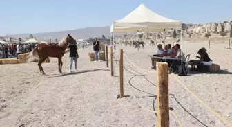 Kapadokya At ve Atçılık Kültürü Festivali'nde Güzellik Yarışması